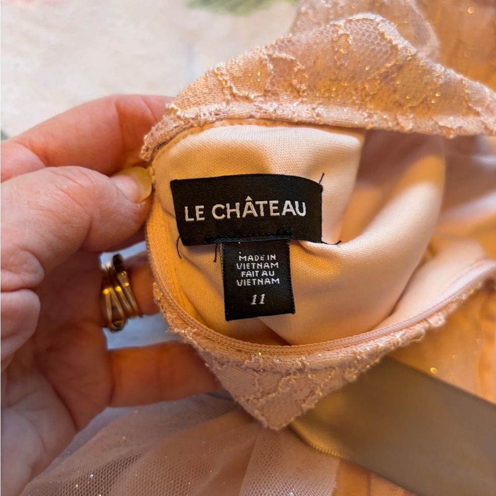 Le Chateau Junior Size 11 Pink Lace Dress with Mesh Skirt-Silver Sash-Lined - Picture 11 of 11